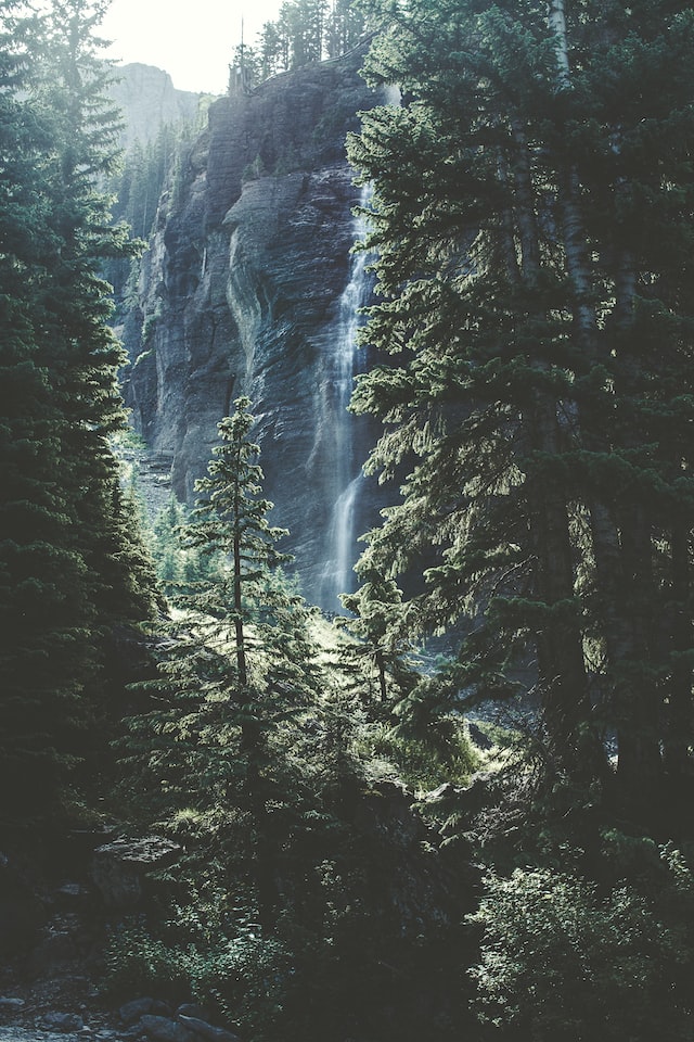 A waterfall in the middle of a forest (by Thomas Kelly on Unsplash)